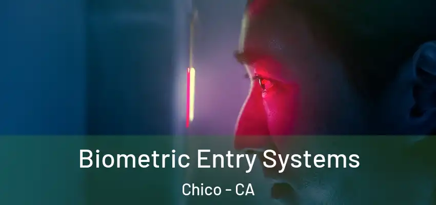  Biometric Entry Systems Chico - CA
