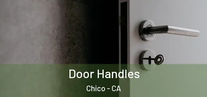  Door Handles Chico - CA
